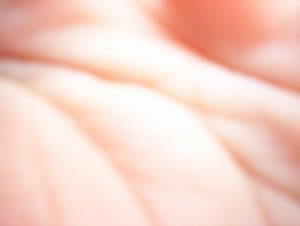 lineas