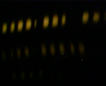 luces.JPG