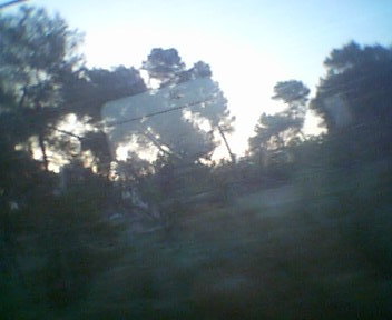 tren2.JPG
