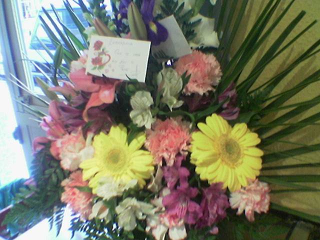 Flores.jpg