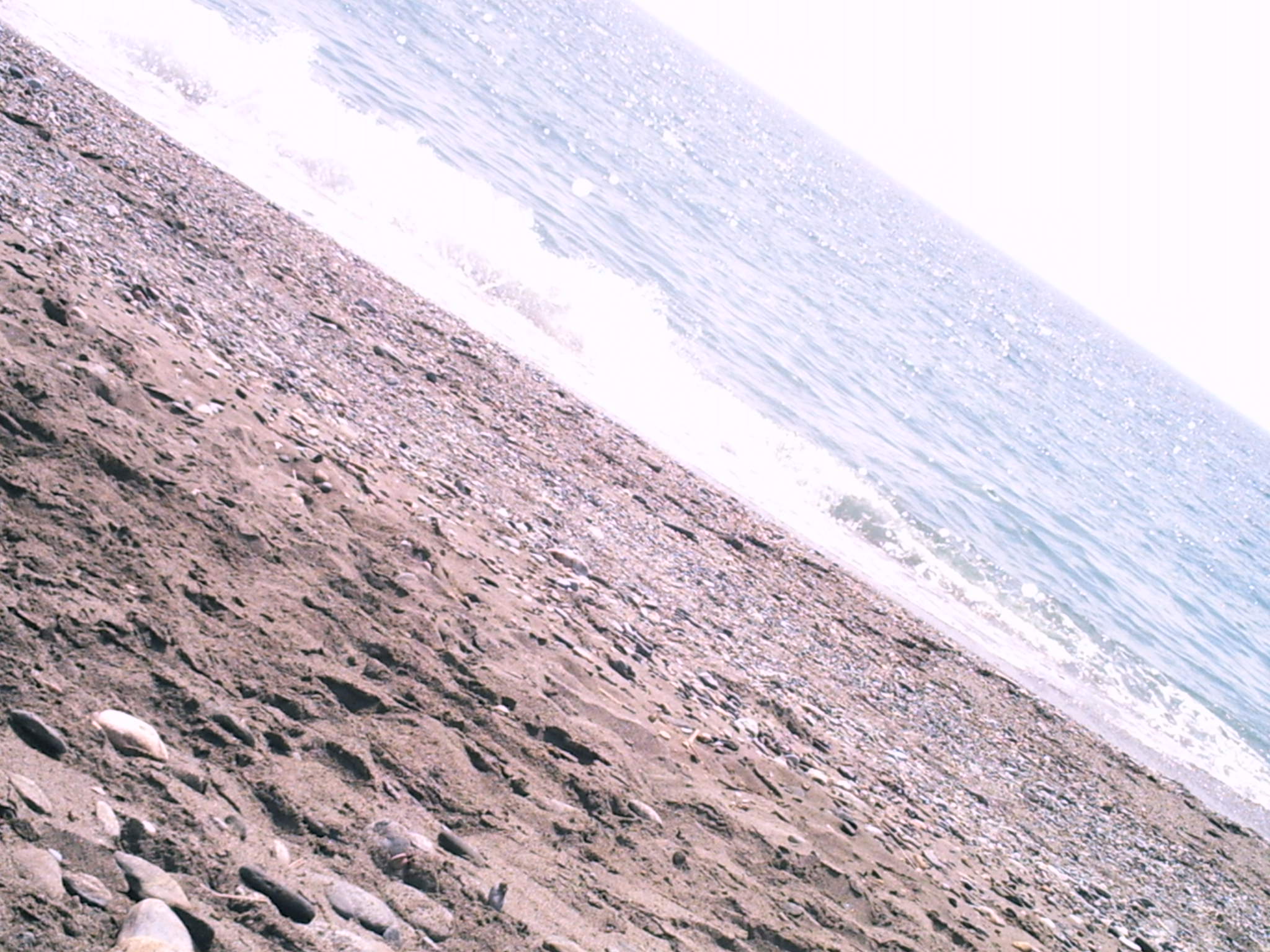 Playa.JPG