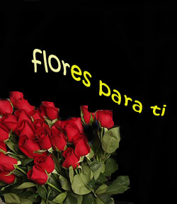 floresparati.jpg