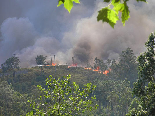 fuego.jpg