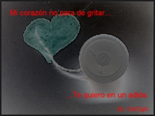 grita.jpg
