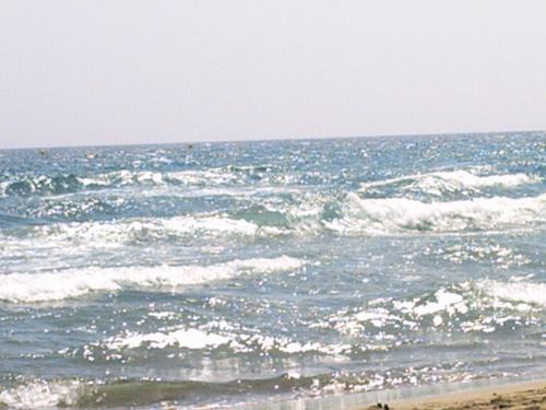 mar2.JPG