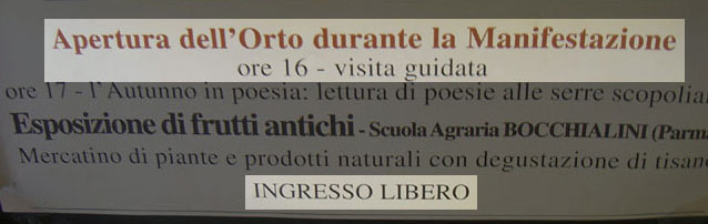 Apertura de orto