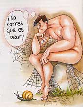 Tauro.jpg