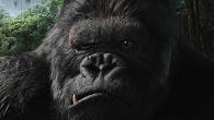 blog_kingkong05.jpg