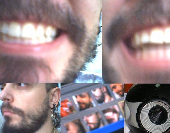 blogpeticion5.JPG