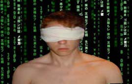 matrixvision.jpg