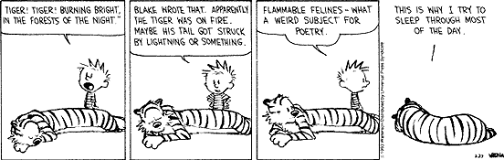 calvin.bmp
