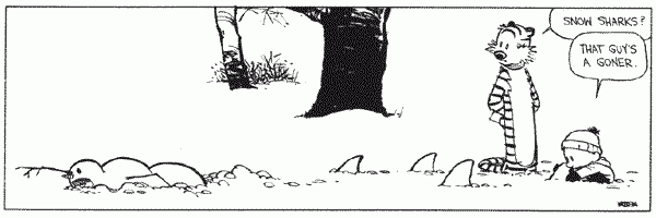 calvin_snowsharks.gif