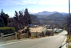 callepavonamuch.jpg