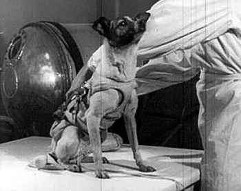 laika.jpg