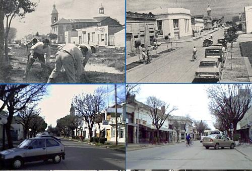pavlasrosas04.JPG