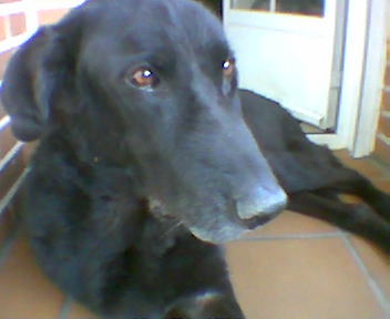 Imagen005.jpg