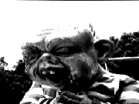 bd32.gif