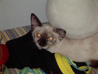 IMGP13472.JPG