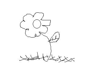 flor.JPG