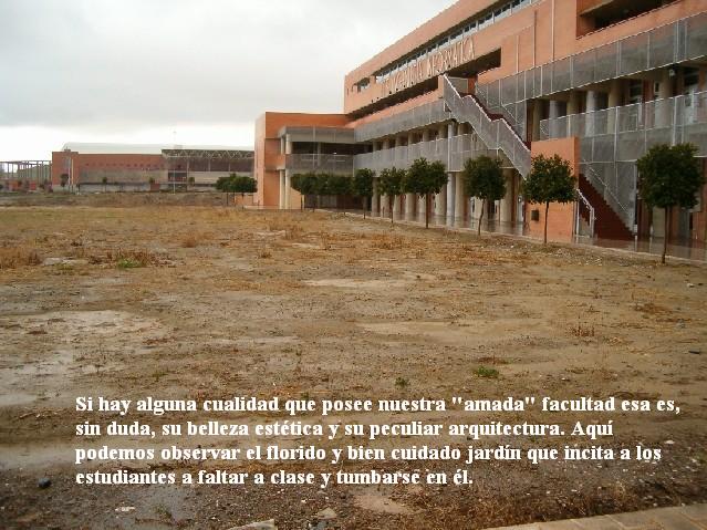 floridojardin.JPG