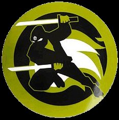 ninja8.jpg