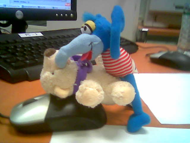 Imagen006.jpg