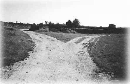 camino.jpg