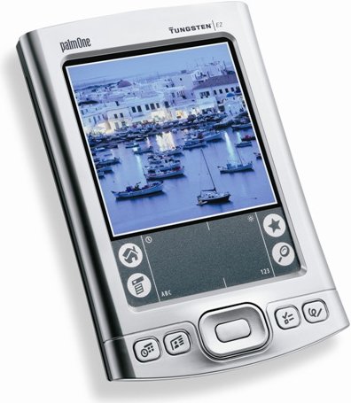 palm_TE2.jpg