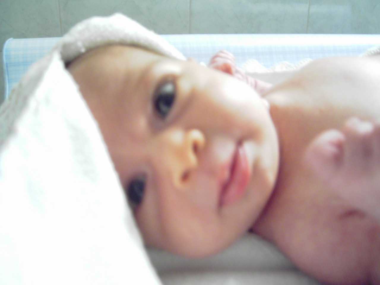 PICT0300.JPG