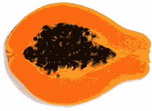 pl-papaya.gif