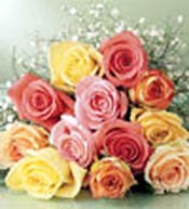 rosas para mi