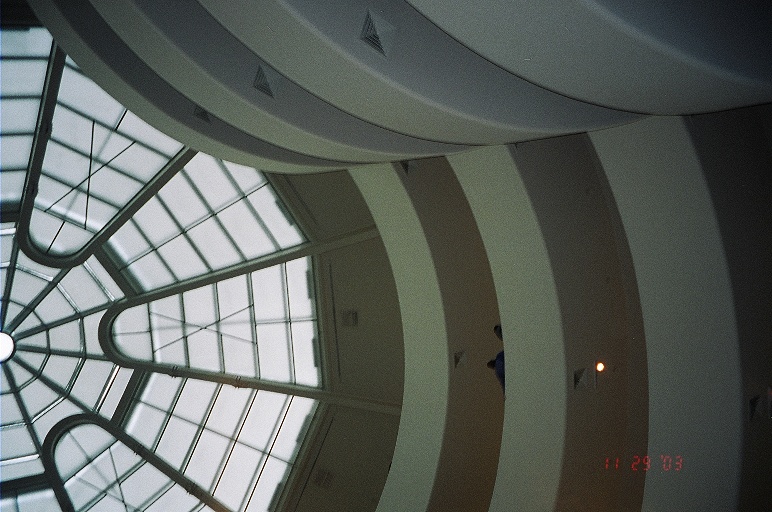 29450024.JPG