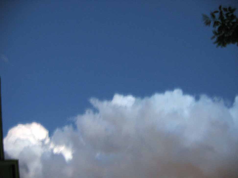 IMG_1362co.jpg