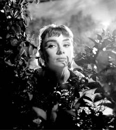 Audrey_arbol_Sabrina1954.jpg