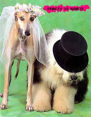 boda2.JPG