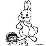 bunny.jpg
