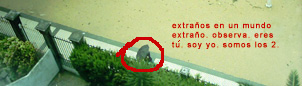 extrano1.jpg