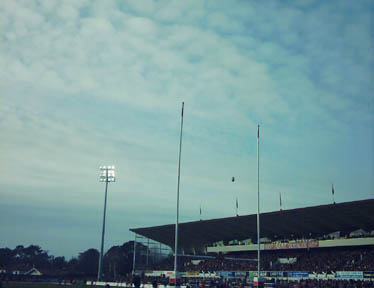 rugby.jpg