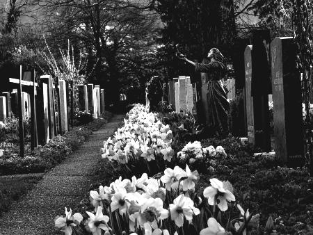 Muerte entre las flores (pixeladas)