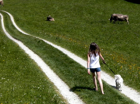 Largo camino