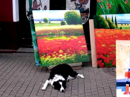 El perro del artista
