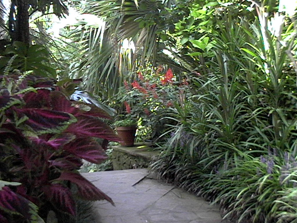 DVC02107.JPG