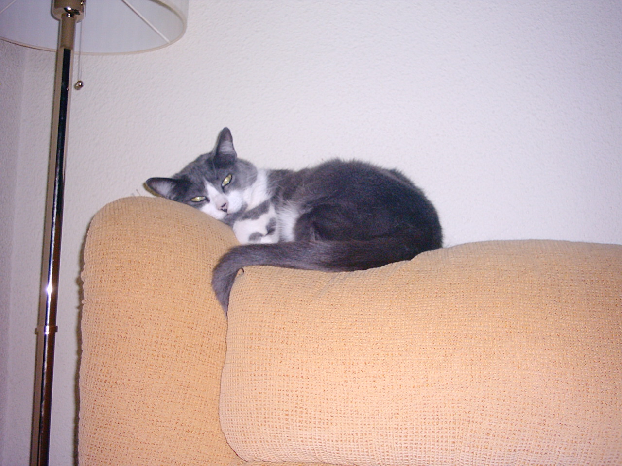 PIC00012.JPG