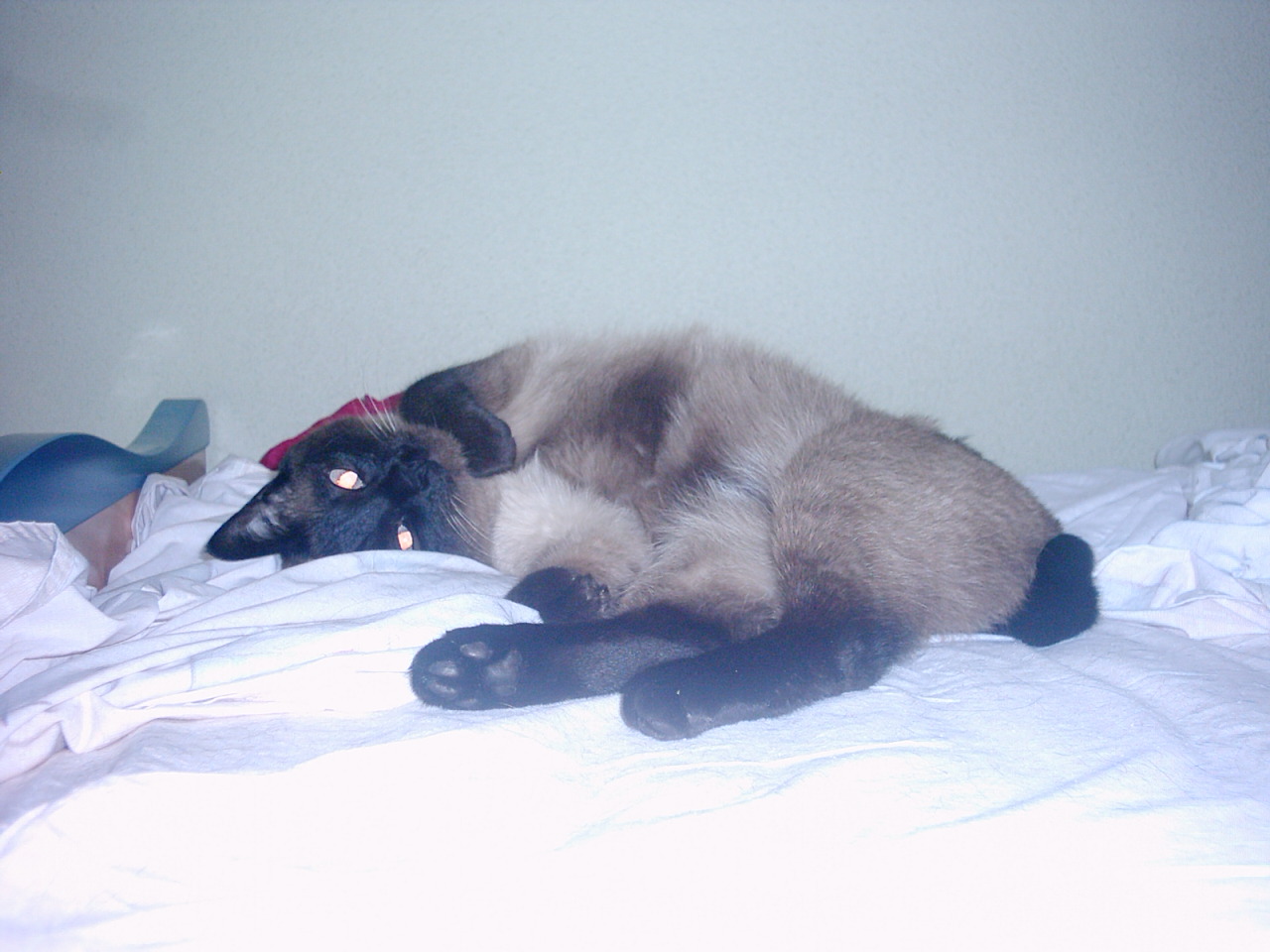 PIC00022.JPG