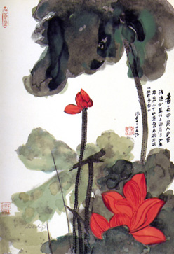 yambria6.jpg