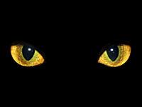 ojos