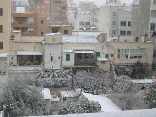 Nieve en Palma