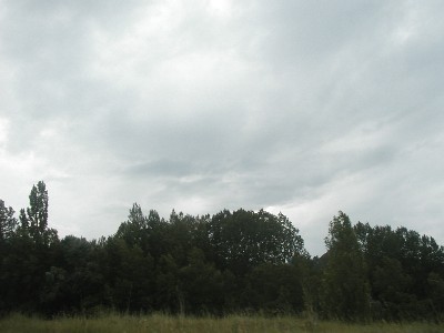 P1010082.JPG