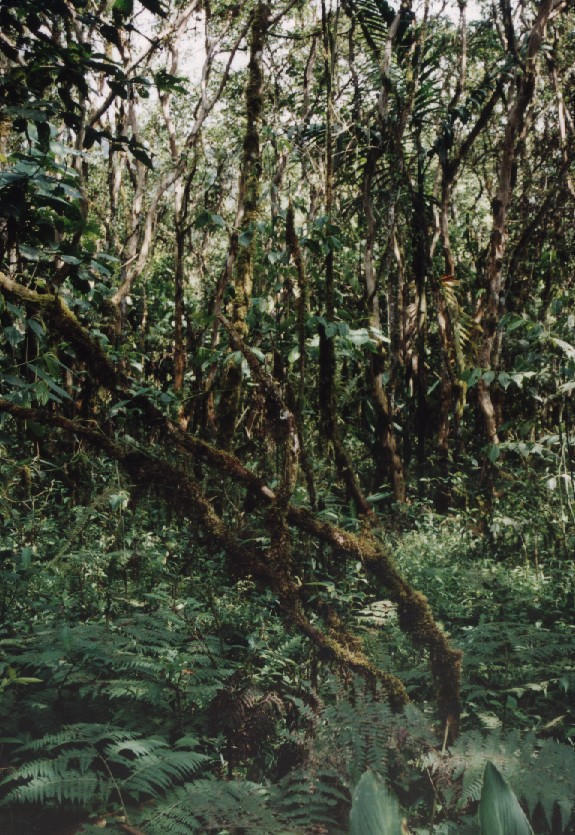001.jpg