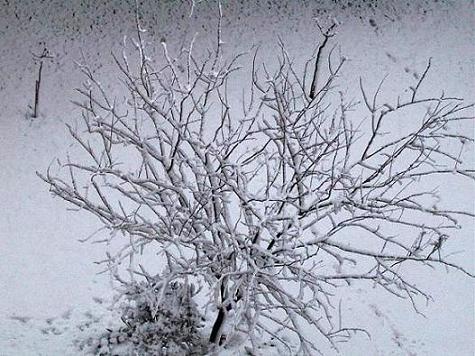 snow01.jpg